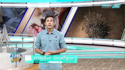 เปิดปมความลับธรรมชาติ - โลกสารคดี (3/3)