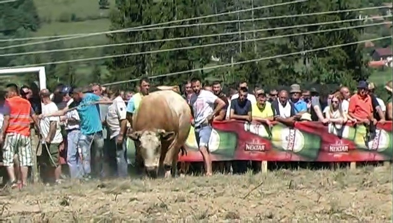 BIJELI ZUJA PODBRDO 2019 LEKICI SLAVILI POBJEDU