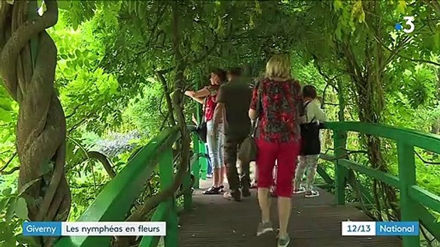 Giverny : les jardins de Monet sont en fleurs
