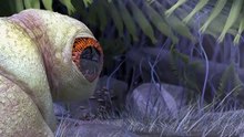 SYMBIOSIS a short film by Mitchell Counsell