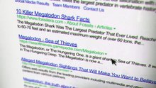 A Living Megalodon Was Found In The Mariana Trench