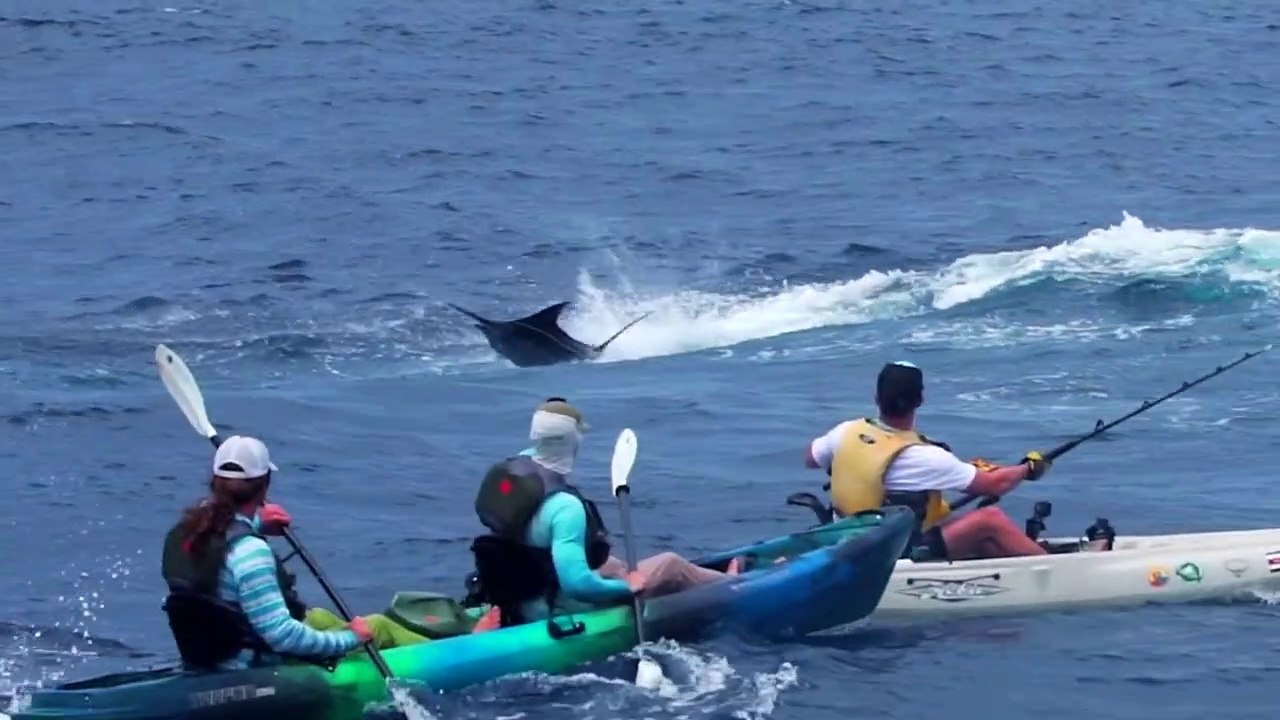 Kayak Blue Marlin Fishing