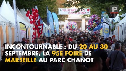 Sorties : des rendez-vous pour prolonger l'été