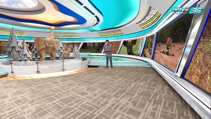 การกลับมาของเสือเบงกอล - โลกสารคดี (1/4)