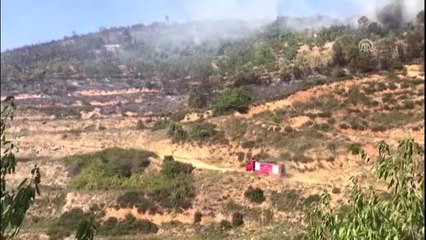 Bursa'da makilik alanda yangın