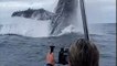 Incredible moment huge humpback whale breaches in front of tourists off Tonga