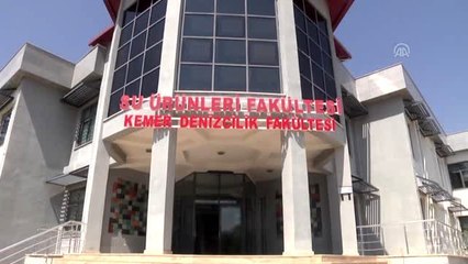 Balıkçılara 'Akdeniz foku' uyarısı