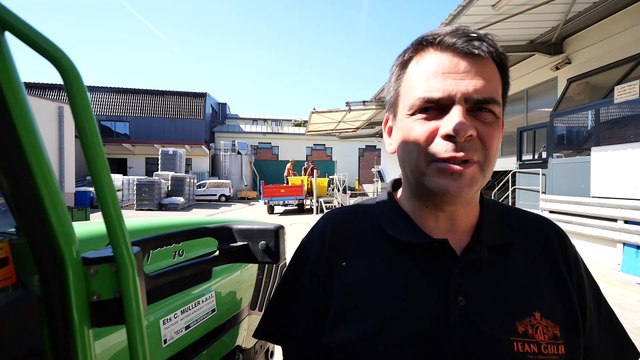 Vendanges : l’analyse de Nicolas Garde, œnologue