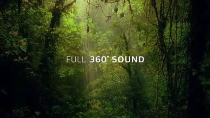 Dolby Atmos 360° sound