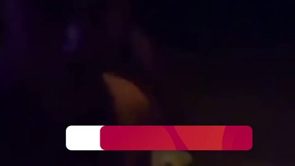 Daniel Bisogno invita a un grupo de amigos a una playa nudista