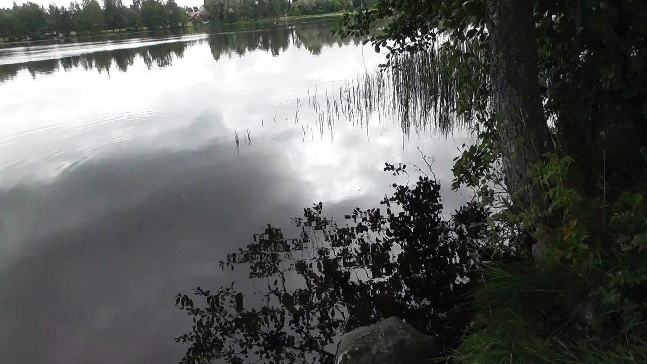 Aug 5 2019 F1