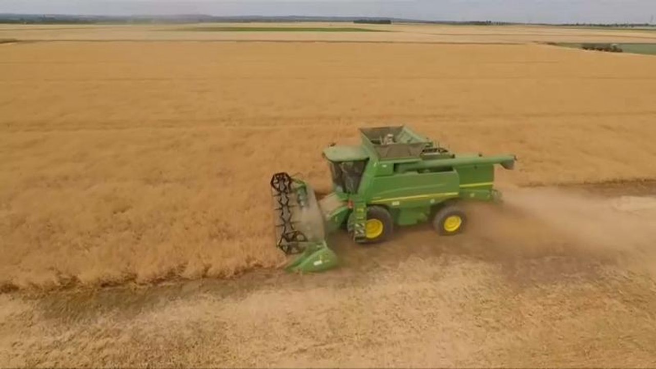 EU-Studie: Im Süden der EU künftig keine Landwirtschaft mehr?