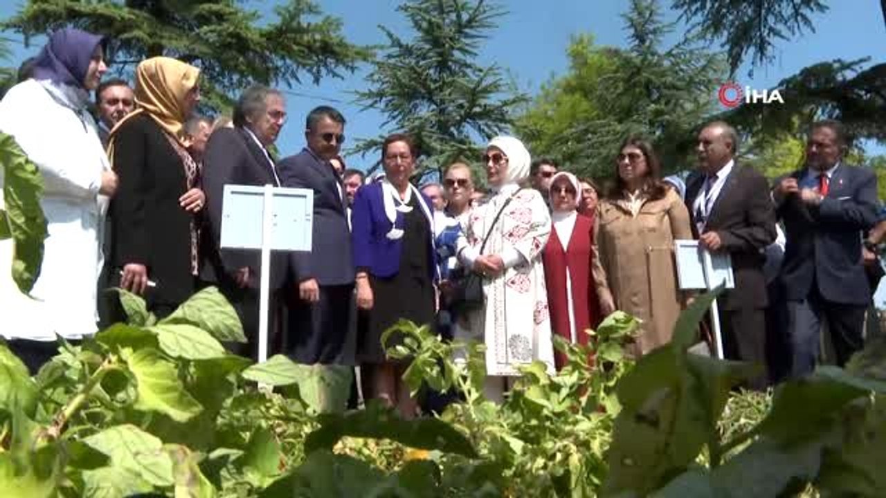 Ata Tohumu ürünler marketlerde tüketiciyle buluşacak