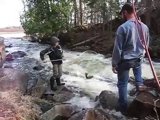 La pêche au saumon en Ontario c'est facile : une épuisette et c'est parti