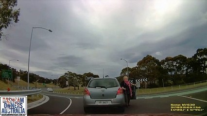 Cette grand-mère stoppe sa voiture en pleine route pour une raison incroyable...