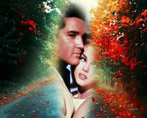 Elvis Presley - Girl of Mine