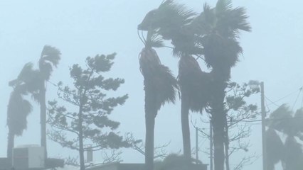 6명 사망자 낸 '곤파스'보다 센 태풍 '링링'...예상 경로는? / YTN