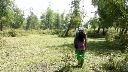 jangal me mangal ¦जंगल में मंगल ¦ jungle mein mangle