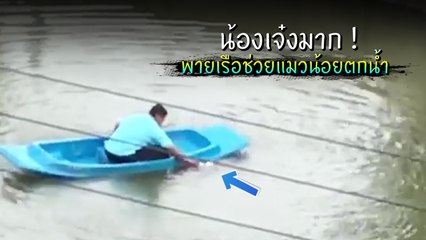 น้องเจ๋งมาก ! นักเรียน ม.3 จ้ำอ้าวพายเรือ ช่วยแมวน้อยตกน้ำ