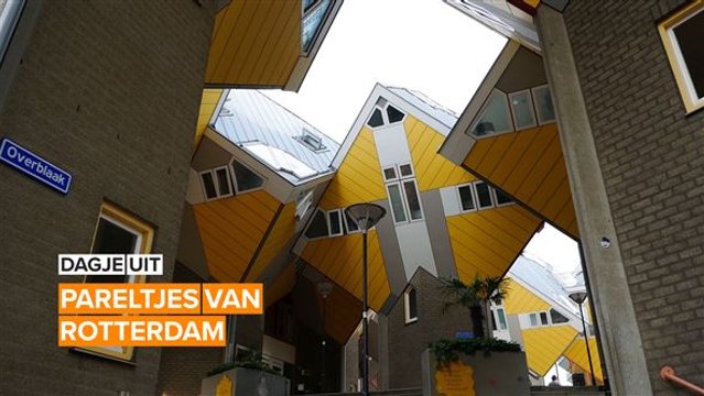 Dagjes uit: Rotterdam