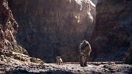 IL RE LEONE Film Clip - Trova il tuo ruggito