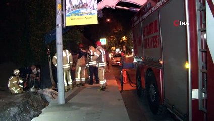 Sarıyer’de Su Kanalına Düşen At İtfaiye Ekiplerinin Çalışmasıyla Kurtarıldı