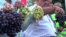 Gaziantep islahiye'de üzüm ve biber festivali coşkulu başladı