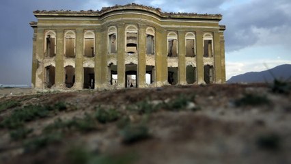 PJ Harvey A Dog Called Money Movie