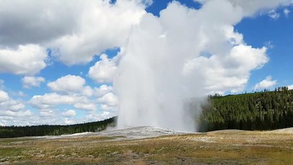 Old faithful