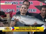 'Bangus Rodeo' held in Dagupan