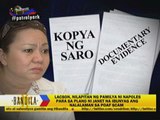 Napoles not pork scam mastermind, lawyer insists