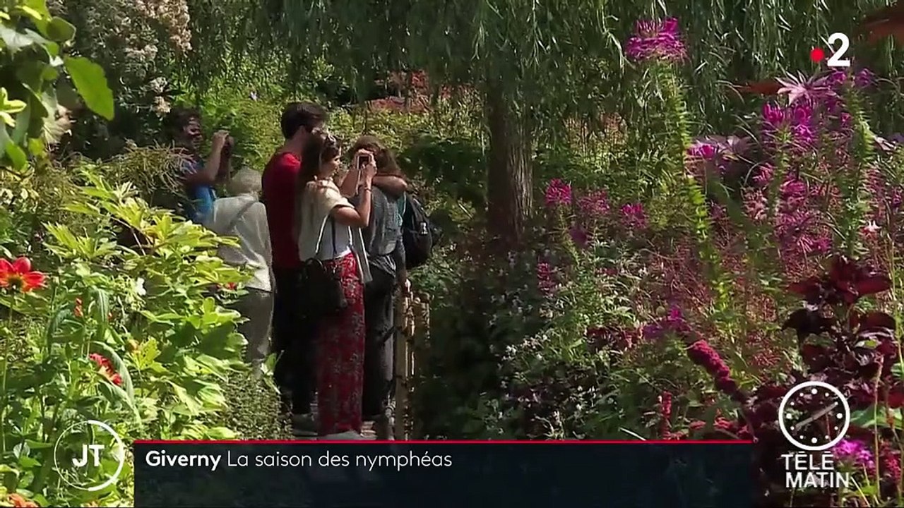 Eure : les nymphéas, stars de la maison de Monet à Giverny