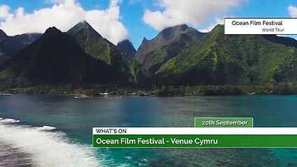 Ocean Film Festival, The Mold Riots & So Much More!