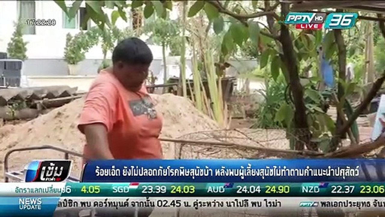 ร้อยเอ็ด ยังไม่ปลอดภัยโรคพิษสุนัขบ้า หลังพบผู้เลี้ยงสุนัขไม่ทำตามคำแนะนำปศุสัตว์ - เข้มข่าวค่ำ