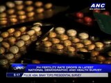 What lower fertility rate means for Filipinos