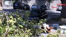 700 yıllık çınar ağacı arabanın üstüne düştü