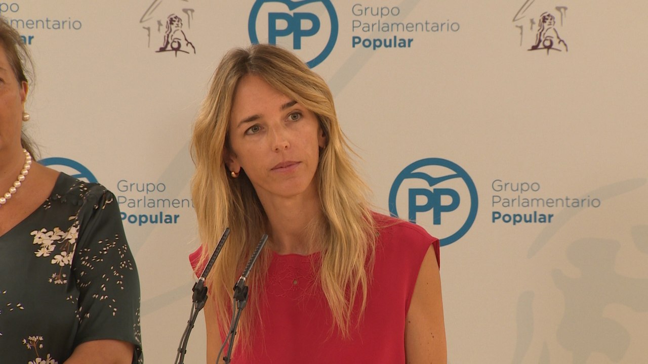 PP aconseja a Torra abandonar sus "delirios totalitarios"
