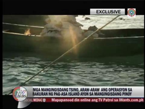 WATCH: Chinese ships poach endangered giant clams