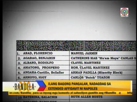 Napoles insists she's not 'pork' scam mastermind