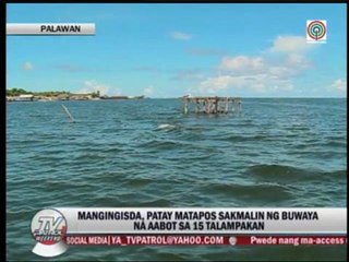 Crocodile kills fisherman in Palawan