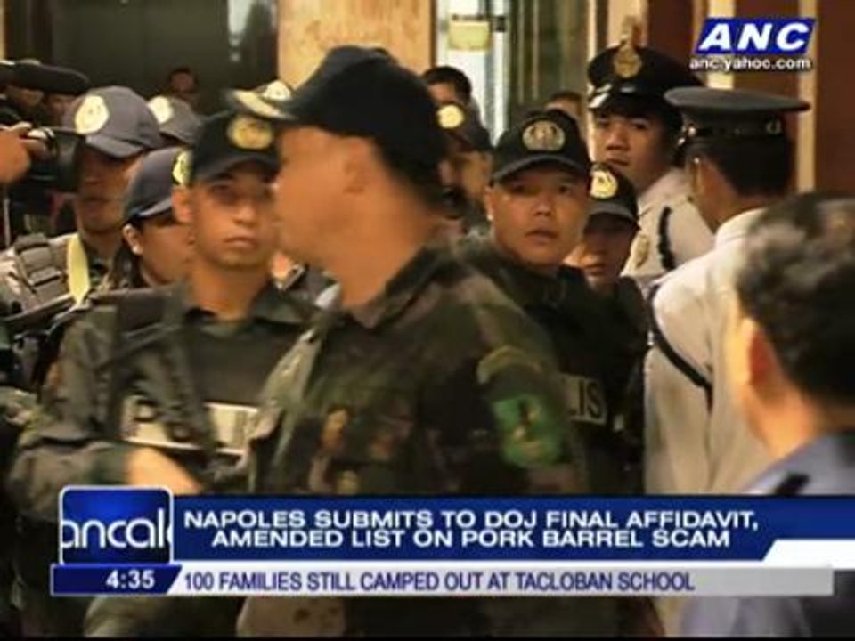 Napoles submits new affidavit, insists on immunity