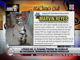 Man arrested for killing 11 cats
