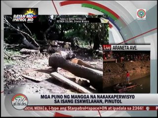 Patroller rues tree-cutting in Oriental Mindoro