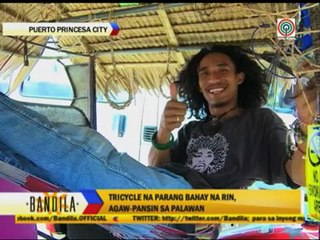 WATCH: 'Insta-house' tricycle in Palawan