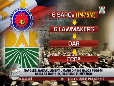 Napoles received over P500M from DAP: Luy