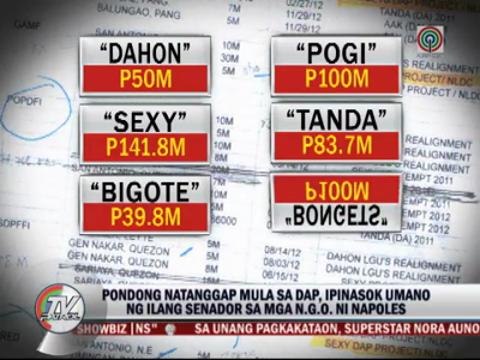 Napoles' fake NGOs also got DAP: whistleblowers