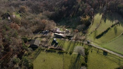 [BA 2] 4 saisons : automne - 22/09/2019