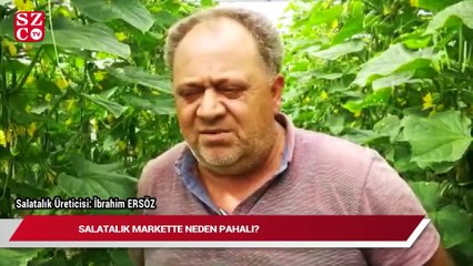 Salatalık markette neden pahalı?