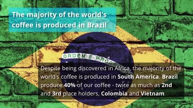 20190905_Coffee - Surprising facts