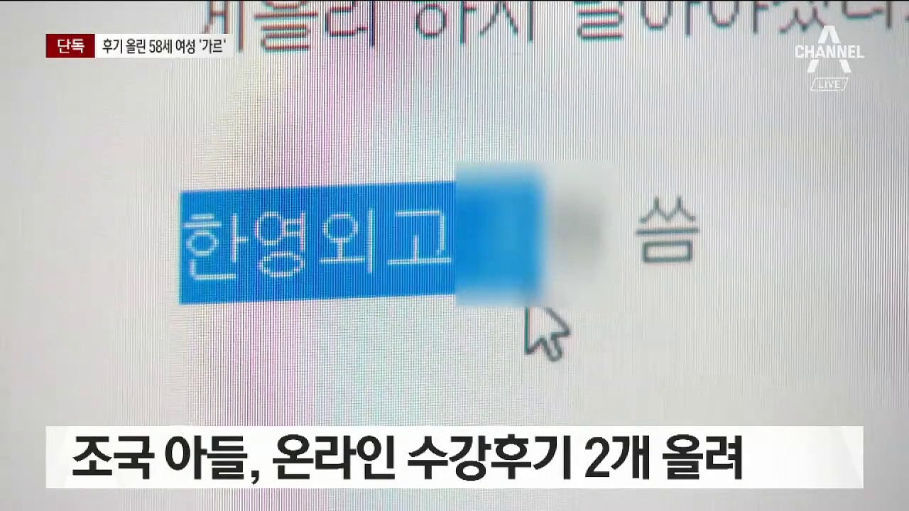 [단독]조국 아들 수강 후기 올린 ‘58세 여성 가르’…정경심 대리 작성 의혹